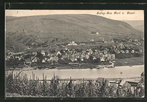 AK Bullay / Mosel, Panorama mit Neu Merl