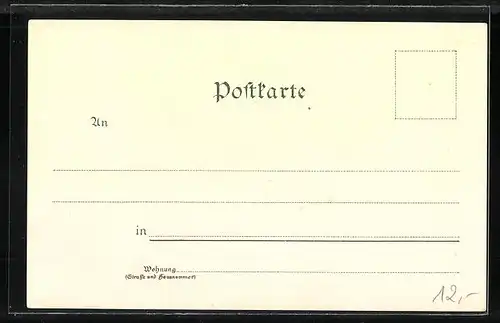 Lithographie Chiemsee, Dampfer Luitpold auf dem Chiemsee, Panorama