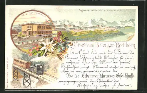 Lithographie Brienz, Panorama gegen die Berner-Alpen, Hotel Rothhorn-Kulm, Mühlebach-Viaduct, Brienzer-Rothhorn