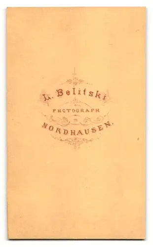 Fotografie L. Belitski, Nordhausen, Portrait Fräulein mit aufwendiger Frisur