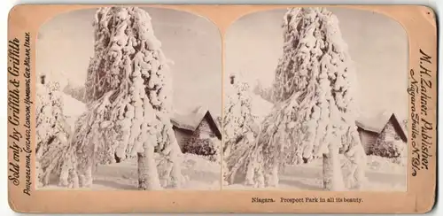 Stereo-Fotografie Griffith & Griffith, Philadelphia, Ansicht Niagara, Prospect Park, Winteridyll