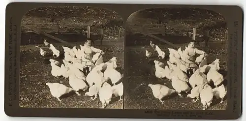 Stereo-Fotografie H. C. White Co., New York, The young farmer and his prize stock, Bub füttert Hühner