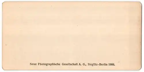 Stereo-Fotografie N.P.G., Berlin-Steglitz, Ansicht Roma, Foro romano, Tempio dei 12 dei