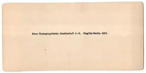 Stereo-Fotografie N.P.G., Berlin-Steglitz, Ansicht Firenze / Florenz, Panorama dal Belvedere