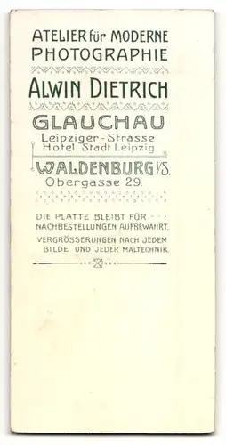 Fotografie Alwin Dietrich, Glauchau & Waldenburg, Portrait eleganter junger Herr in Abendgarderobe