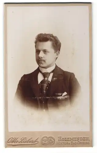 Fotografie Otto Liebert, Holzminden, Portrait junger Herr in Anzug