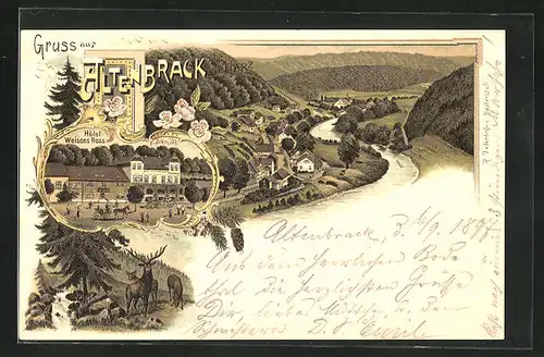 Lithographie Altenbrack a. Harz, Hôtel Weisses Ross, Panorama