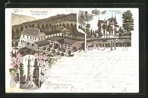 Lithographie Oybin, Gasthof Forsthaus Hain, Pension Hütter