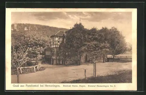 AK Hemeringen, Gasthaus Forellental