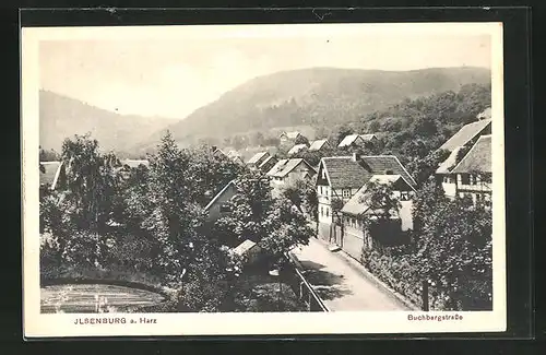 AK Ilsenburg a. Harz, Buchbergstrasse mit Bergen