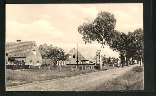 AK Mönkebude, Teilansicht Dorfstrasse mit Häuser