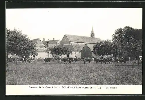 AK Boissy-les-Perche, La Prairie, Kühe