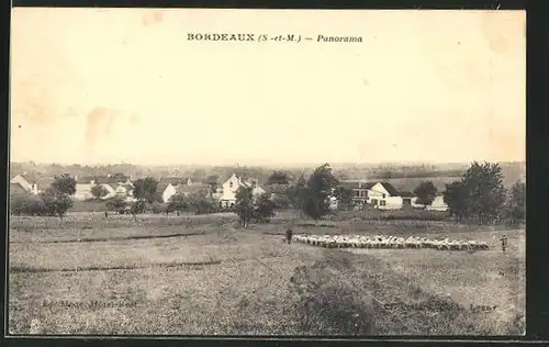 AK Bordeaux, Panorama