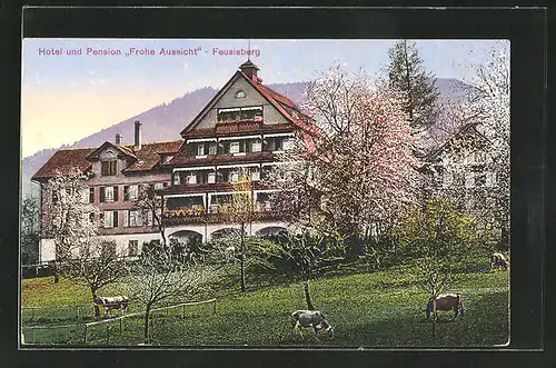 AK Feusisberg, Hotel und Pension Frohe Aussicht