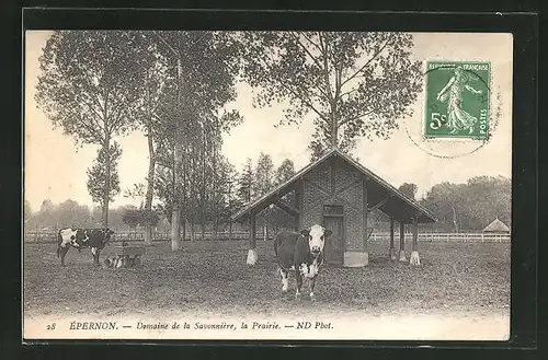 AK Èpernon, Domaine de la Savonnière, la Prairie