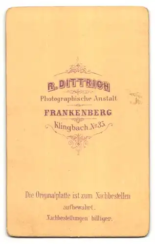 Fotografie R. Dittrich, Frankenberg, Portrait junger Mann mit zurückgekämmtem Haar