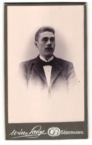 Fotografie Wilh. Lange, Söderhamn, Portrait Mann mit Zwirbelbart im Anzug