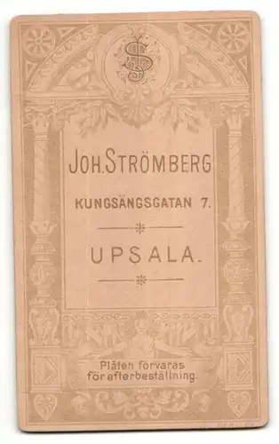 Fotografie Joh. Strömberg, Upsala, Portrait junge Frau mit Kragenbrosche und Hochsteckfrisur