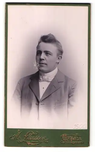 Fotografie A. Larsson, Upsala, Portrait Mann mit Fliege im Anzug
