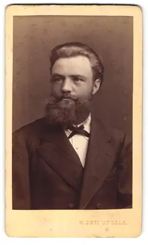 Fotografie H. Osti, Upsala, Portrait hübscher Mann mit zurückgekämmtem Haar und Vollbart