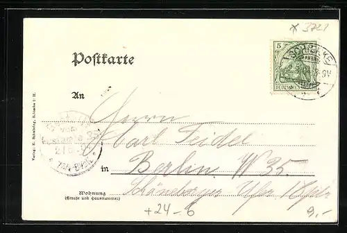 AK Schierke i. H., Waldbruch durch Unwetter im Sommer 1904