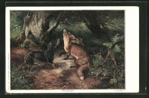 AK Fuchs und Dackel im Wald
