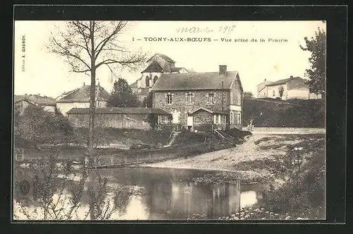 AK Togny-aux-Boefs, Vue prise de la Prairie