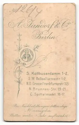 Fotografie A. Fandorf & Co., Berlin, Baby auf Pelz