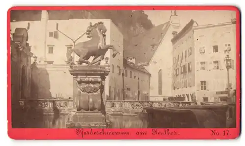 Fotografie Baldi & Würthle, Salzburg, Ansicht Salzburg, Pferdeschwemme am Neuthor