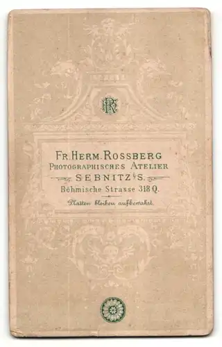 Fotografie Fr. Herm. Rossberg, Sebnitz, Portrait Dienstmädchen in Arbeitskleidung mit Teeservice