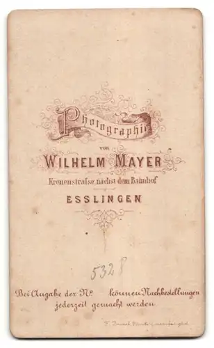 Fotografie Wilhelm Mayer, Esslingen, Portrait bürgerliche Dame mit Hochsteckfrisur