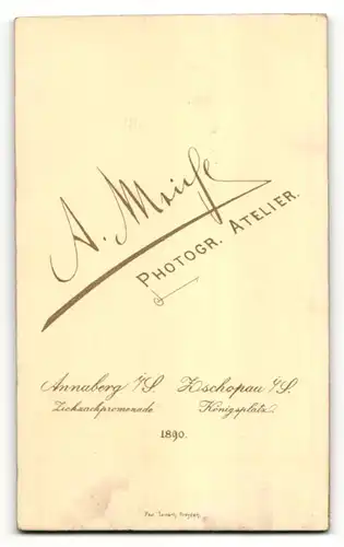 Fotografie A. Maiche, Annaberg & Zschopau i/S, Portrait junge Dame mit zusammengebundenem Haar