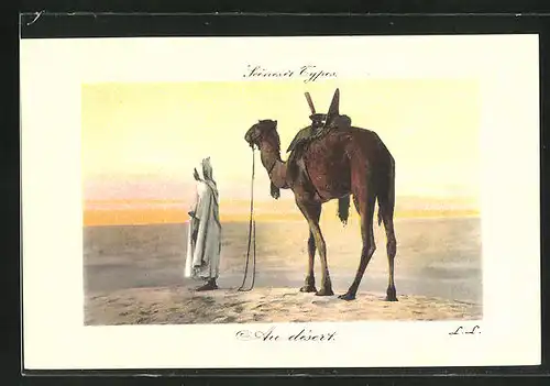 AK Au désert, Araber mit seinem Reit-Kamel