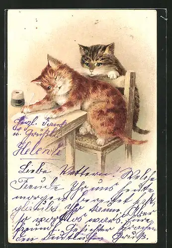 Lithographie Katze schreibt einen Brief