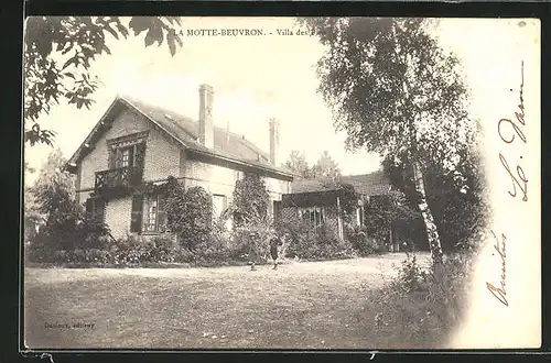 AK Lamotte-Beuvron, Villa des Pins