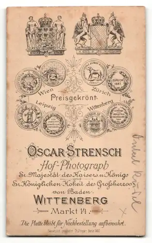 Fotografie Oscar Strensch, Wittenberg, Portrait halbwüchsiger Knabe in Anzug