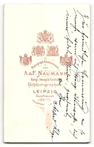 Fotografie A. & F. Naumann, Leipzig, Portrait junges hübsches Paar in schönen Kleidern