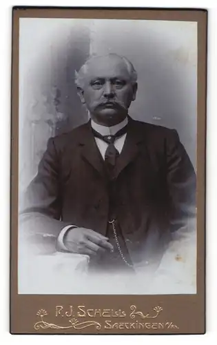 Fotografie R. J. Schell, Säckingen, Portrait gutbürgerlicher älterer Herr
