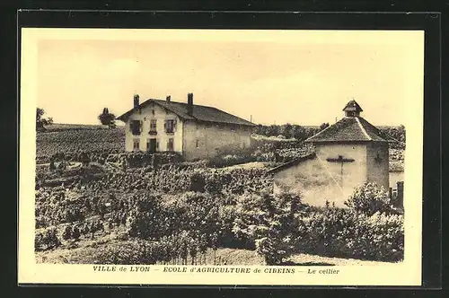 AK Ville de Lyon / Cibeins, Ecole d`Agriculture, Le cellier