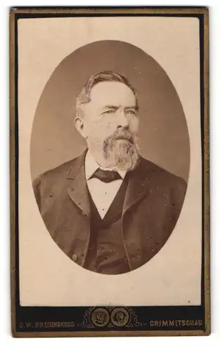 Fotografie C. W. Breitengross, Crimmitschau, Portrait älterer Herr in Anzug mit Bart