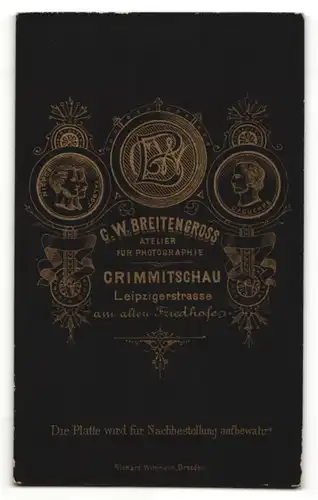 Fotografie C. W. Breitengross, Crimmitschau, Portrait älterer Herr in Anzug mit Bart