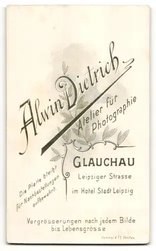 Fotografie A. Dietrich, Glauchau & Waldenburg, Portrait Fräulein mit zusammengebundenem Haar