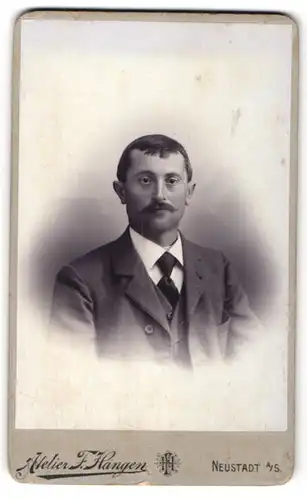 Fotografie F. Hangen, Neustadt a/S, Portrait Herr in Anzug mit Krawatte