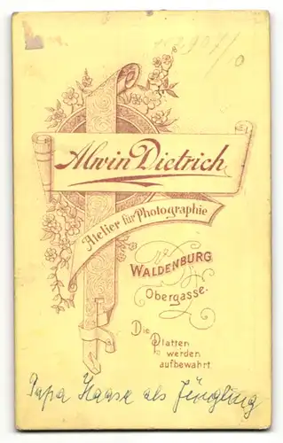 Fotografie Alwin Dietrich, Waldenburg, Profilportrait halbwüchsiger Knabe in Anzug mit Zwicker