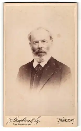 Fotografie F. Langbein & Cie., Heidelberg, Portrait Herr mit Bart