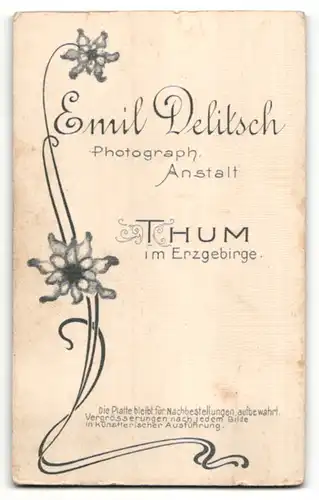 Fotografie Emil Delitsch, Thum i/Erzg., Portrait junger Herr in Anzug