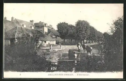 AK Aillant-sur-Tholon, L'Abreuvoir