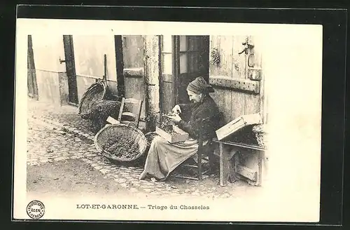 AK Lot-et-Garonne, Triage du Chasselas, Greisin mit Weintrauben