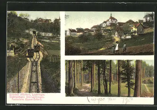 AK Evilard-Leubringen, Drahtseilbahn Biel-Leubringen, Ortspartie, Waldpartie