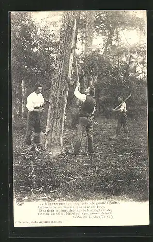 AK Landes, Résiniers, Gemmage des Pins, Harzernte